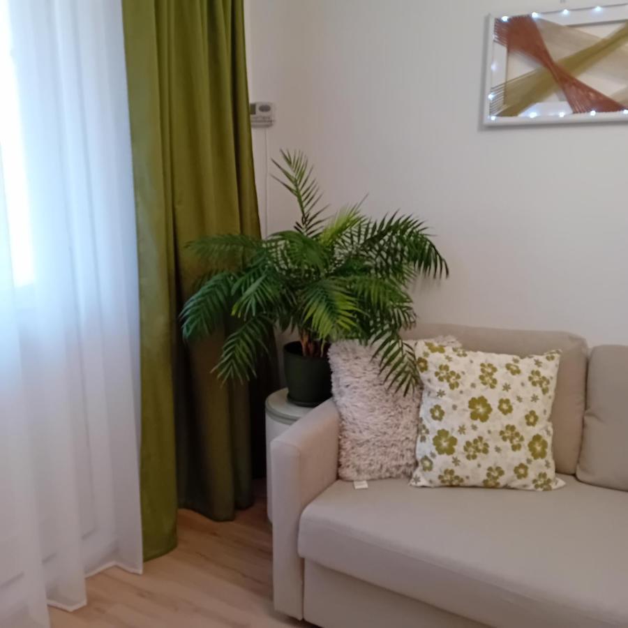 Apartamento Harmonyhouse Braşov Exterior foto